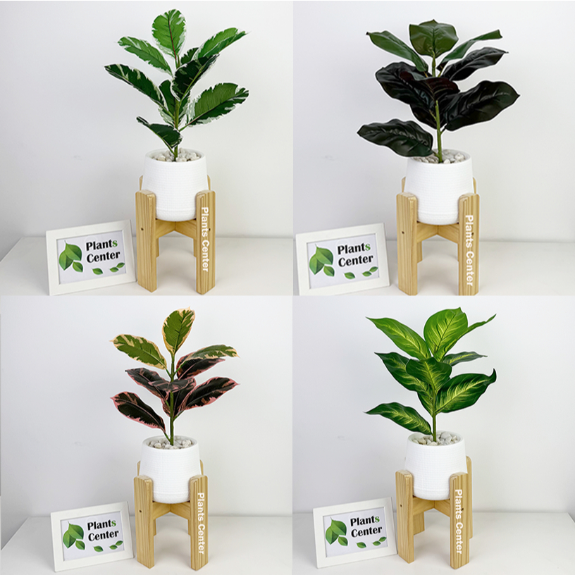 Plants Center ต้นไม้ปลอม 9ใบ สูง 45-55ซม รวมไม้ยอดนิยม ไม้มงคล ตกแต่งบ้าน แต่งสวน  P008