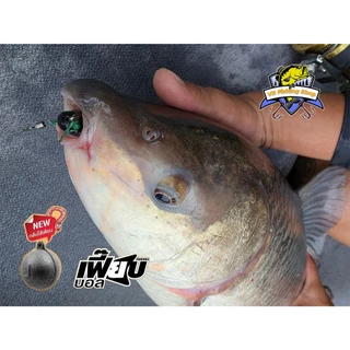 เม็ดโฟมสีดำ เฟี๊ยบบอล ไส้เดือน เหนียว ขาดยาก Mahseer Feabball Black เฟี๊ยบบอลดำ