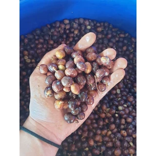 กาแฟหวานหอมสับปะรด เมล็ดกาแฟคั่วอ่อน ร่มฟ้าผาหม่น Single Origin Natural Anaerobic อเมริกาโน่เย็น | Jiddy Roasters