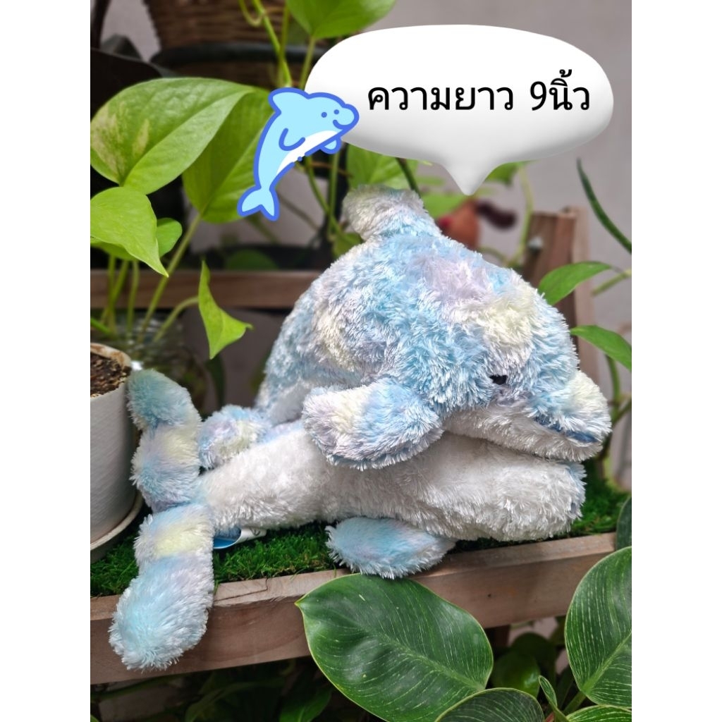 Okinawa Churaumi Aquarium dolphin 🐬 ตุ๊กตาโลมา  ตุ๊กตาสีรุ้ง