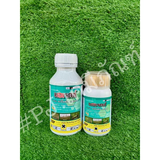 มอเรตซ์ #อะนิโลฟอส30% สารกำจัดหญ้าดอกขาว หญ้าข้าวนก หญ้านกสีชมพู ผักปอดนา กกขนาก