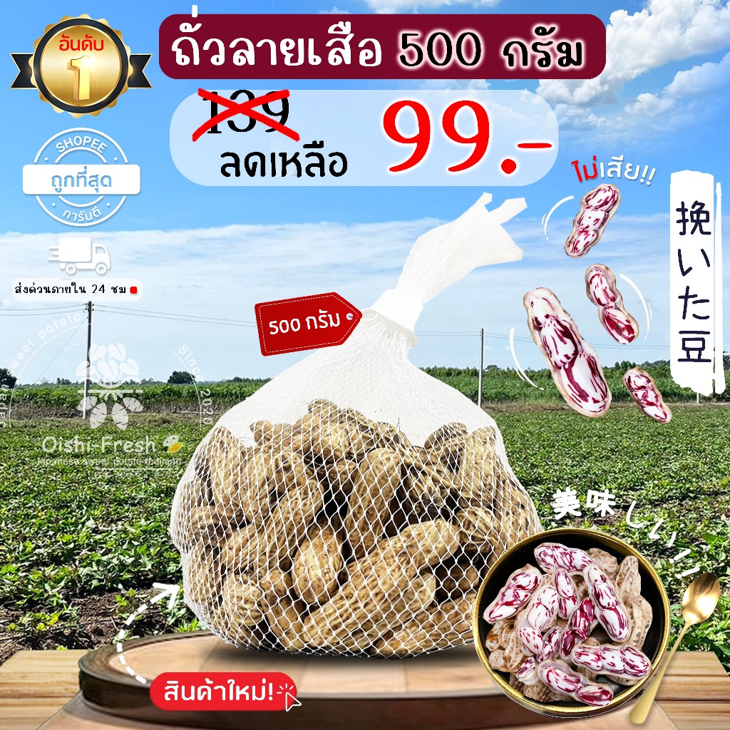 Oishi-Fresh ถั่วลิสง ปลอดสารพิษ 500 ก. รสชาติหวาน มัน เคี้ยวเพลิน สด ใหม่ ใยอาหารสูง หวานออร์แกนิด เคลมได้ 1-2 วัน