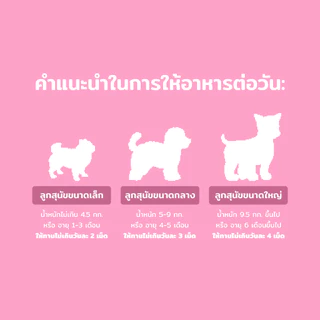 Dr. Shiba Power Pup อาหารเสริมสำหรับลูกสุนัข สูตรนมแพะ มีวิตามิน โพรไบโอติก โคลอสตรัม (น้ำนมเหลือง) 120 กรัม 80 เม็ด