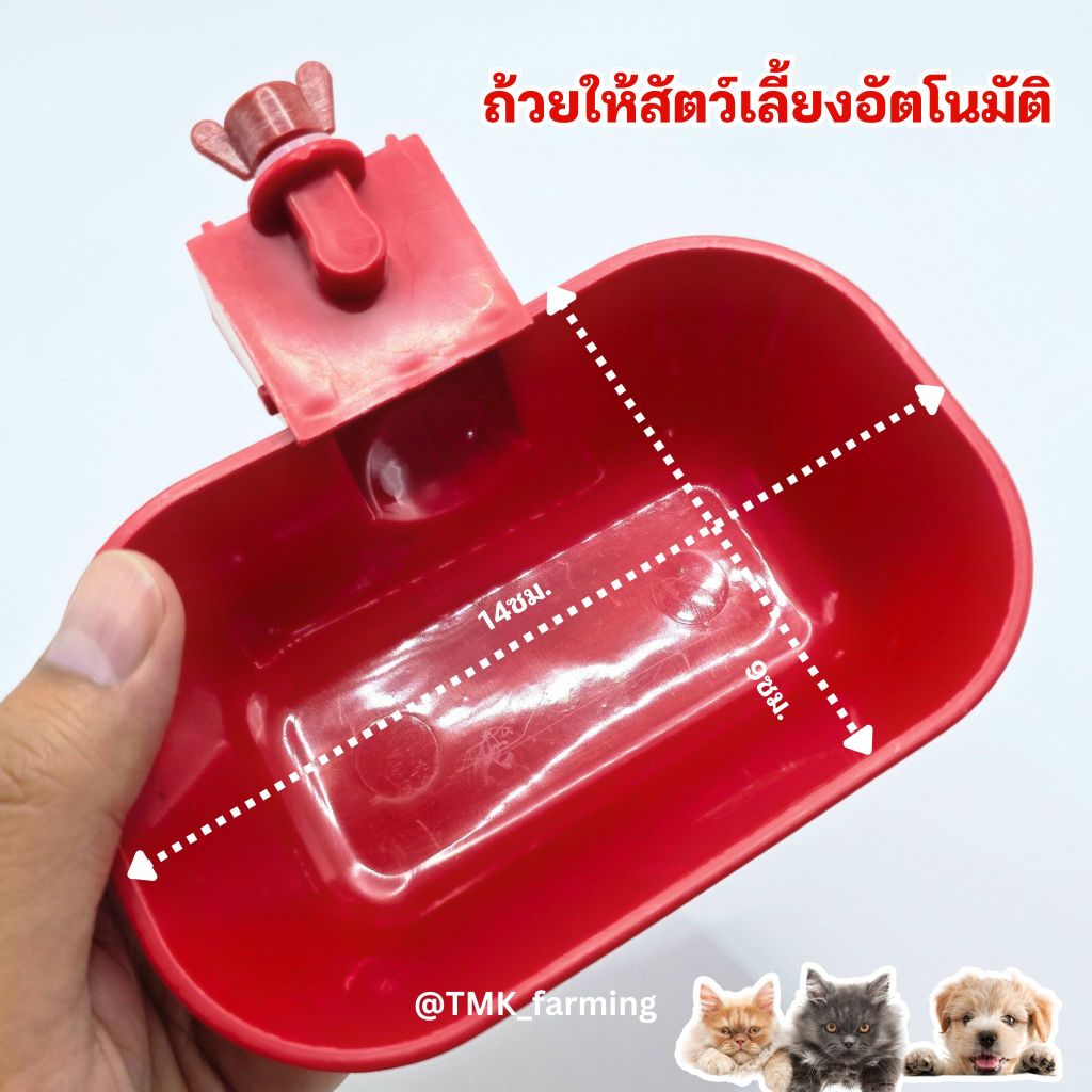 ชามให้น้ำไก่อัตโนมัติ ขนาดใหญ่ สีแดง ถ้วยน้ำแมวหมา ขนาด 14เซน