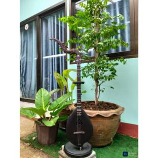 พิณโปร่งไฟฟ้าไม้แต้ดำ บอดี้แบบขุดโปร่ง ป่องเสียงลายกนก 3 สาย…