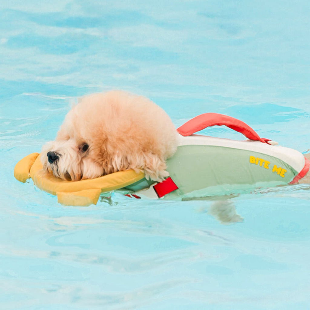 BITE ME   Aqua Bear Life Vest เสื้อชูชีพสำหรับสุนัข