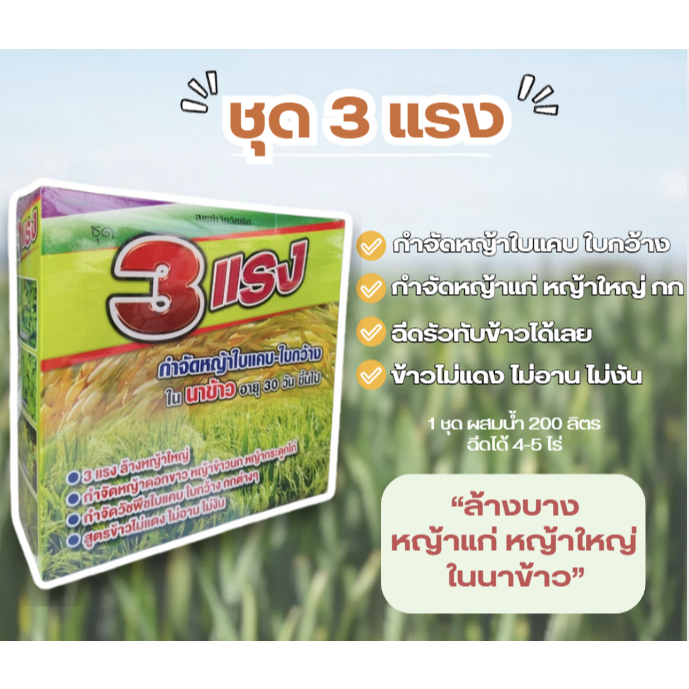 ชุด 3 แรง กำจัดวัชพืชในนาข้าว ล้างบางหญ้าแก่ หญ้าใหญ่ หญ้าตายยาก
