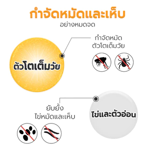 ยาหยอดเห็บหมัดหมาแมว Frontguard Plus ใช้หยดบนผิวหนัง สำหรับสุนัขและแมว ปลอดภัย เห็นผลไว 1 กล่อง