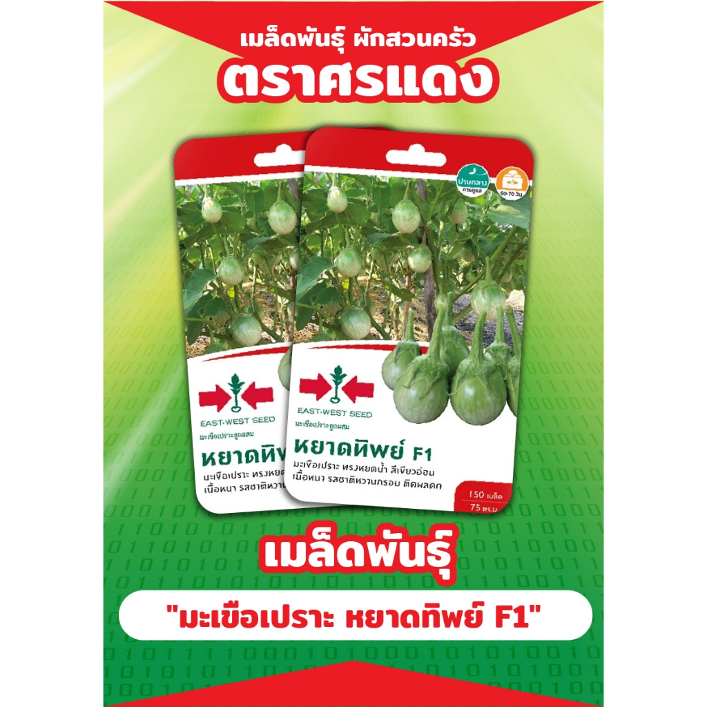 ศรแดง มะเขือเปราะหยาดดารา เมล็ดพันธุ์ผัก (East-West Seed) เมล็ดพันธุ์ ผักสวนครัว  ตราศรแดง