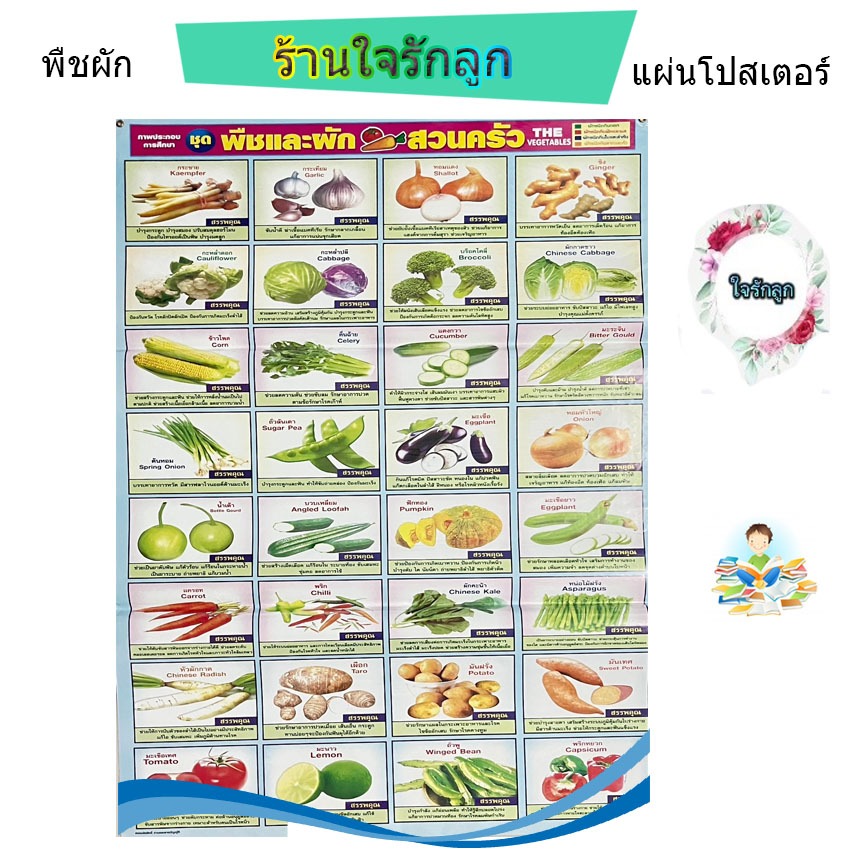 แผ่นโปสเตอร์พืชผัก เคลือบพลาสติกอย่างดีเจาะรูตาไก่สำหรับแขวนติดผนัง