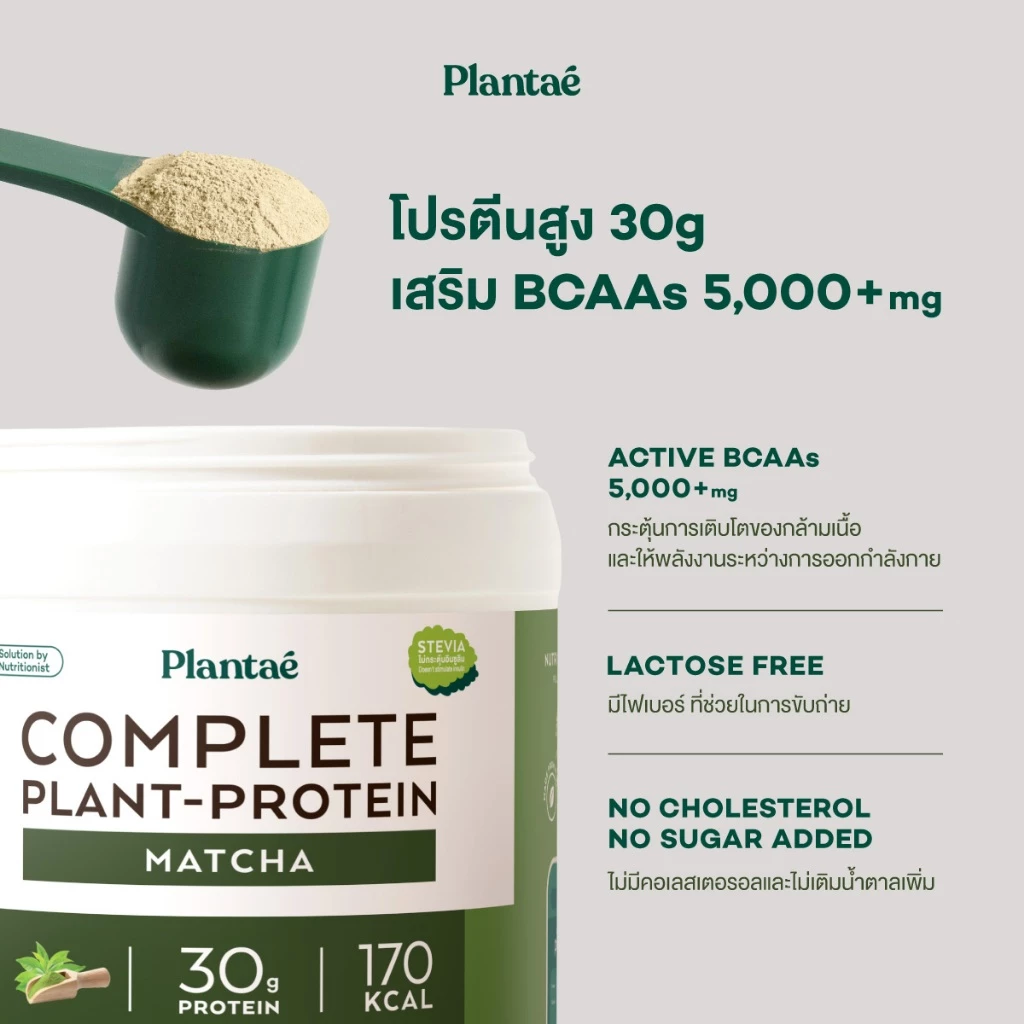 Plantae Complete Plant Protein รส Matcha กระปุก 800g โปรตีนจากพืช plant based เพิ่มกล้ามเนื้อ โปรตีนสูง แพลนเต้ มัทฉะ thumbnail 4
