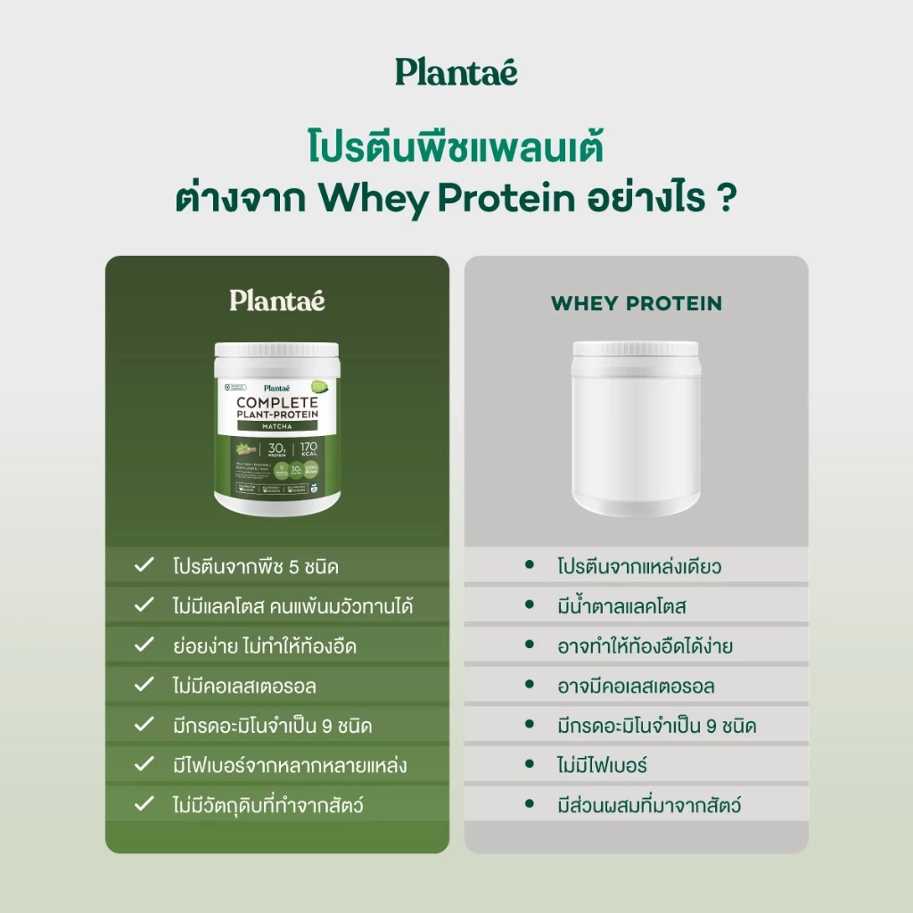 Plantae Complete Plant Protein รส Matcha กระปุก 800g โปรตีนจากพืช plant based เพิ่มกล้ามเนื้อ โปรตีนสูง แพลนเต้ มัทฉะ thumbnail 7