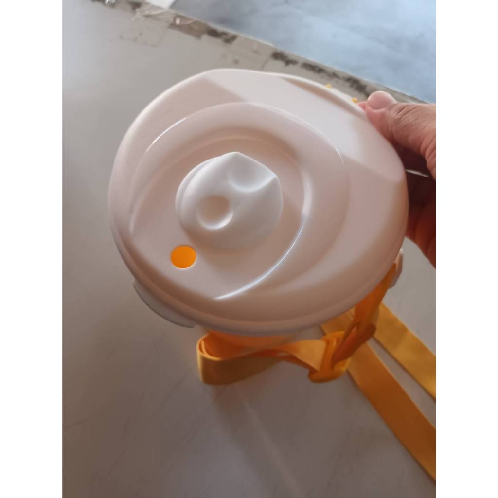 กระติกสิงห์ชั้นเดียว - รูปที่ 2