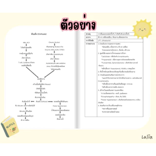 หนังสือสรุปโรคและการพยาบาล เล่ม 1 (Patho & Nursing care)