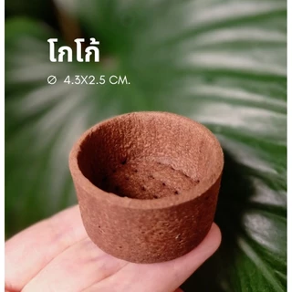 ถ้วยทาร์ตสำเร็จรูป ถ้วยทาร์ตเปล่า ทาร์ตกลมขนาด 4.3*2.5cm.