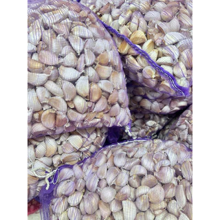 กระเทียมจีนแกะกลีบ พร้อมใช้ ยกกระสอบ 9.5-10KG