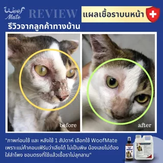 WoofMate วูฟเมท สเปรย์พ่นเชื้อรา คันขี้เรื้อนผิวหนังอักเสบแผลหนอง (มี2ขนาด)