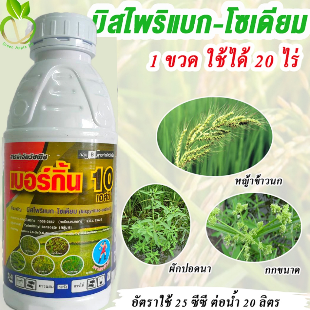 เบอร์กิ้น บิสไพริแบคน้ำ  ขนาด 1 ลิตร บิสไพริแบค -โซเดียม 10%สารกำจัดวัชพืชในนาข้าว บิสไพริแบก หญ้าข้าวนก ผักปอดนา กก