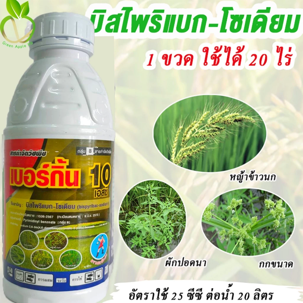 เบอร์กิ้น บิสไพริแบคน้ำ ขนาด 1 ลิตร บิสไพริแบค -โซเดียม 10%สารกำจัดวัชพืชในนาข้าว บิสไพริแบก หญ้าข้าวนก ผักปอดนา กก