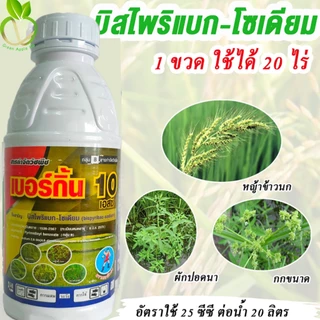 เบอร์กิ้น บิสไพริแบคน้ำ ขนาด 1 ลิตร บิสไพริแบค -โซเดียม 10%สารกำจัดวัชพืชในนาข้าว บิสไพริแบก หญ้าข้าวนก ผักปอดนา กก