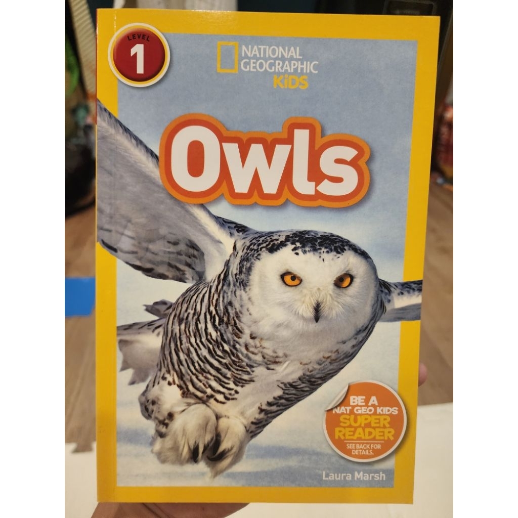 หนังสือ national geograghic : Owls
