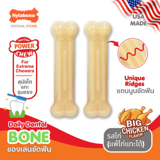 Nylabone Daily Dental Chicken Power Chew Toy Twin Pack