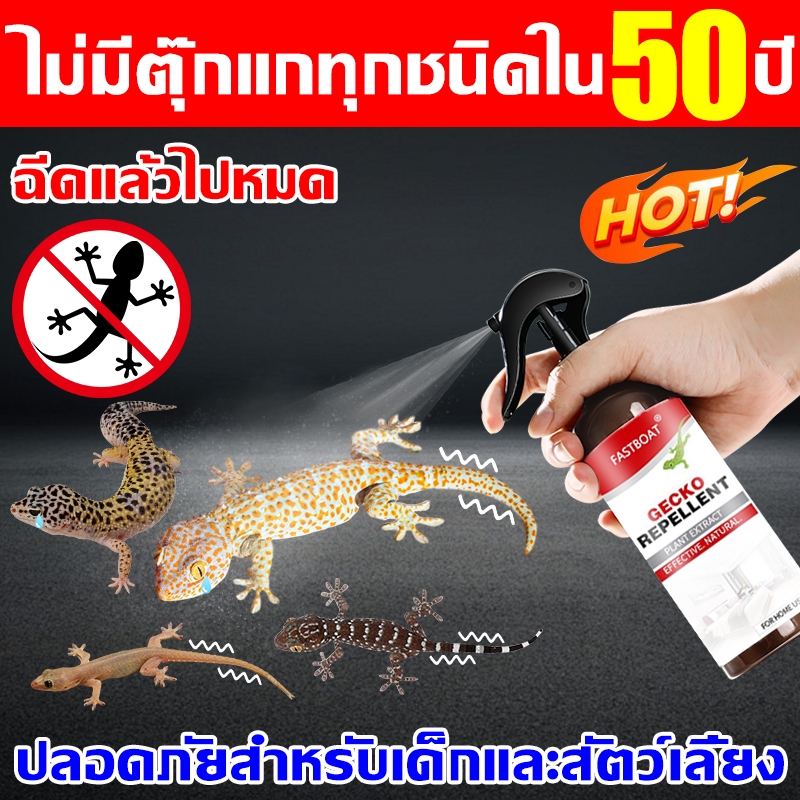 ไม่มีตุ๊กแก 50ปี สเปรย์ไล่จิ้งจก ใช้มันทั้งบ้านไร้จิ้งจก ไล่ตุ๊กแกถาวร ปลอดภัย ไร้สารเคมี สเปรย์ไล่จิ้จก น้ำยาไล่จิ้งจก