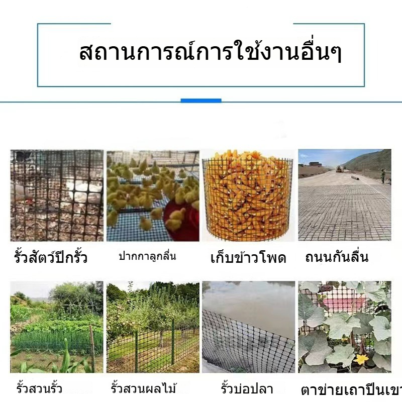 ตาข่ายพลาสติก ม้วน50เมตร (กว้าง 60cm/100cm/120cm/150cm/180cm) รั้วตาข่ายพลาสติก ช่องตา 35mm ตาข่ายกรงไก่ PVC สีดำ ตาข่าย - รูปที่ 3