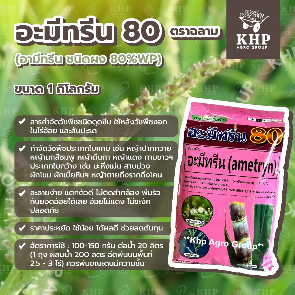 อะมีทรีน / อามีทรีน ยาฆ่าหญ้า ในไร่อ้อย สับปะรด 🌾 ชนิดผง บรรจุ 1 กิโลกรัม 2 ไร่ (ฉีดทับอ้อยได้)🌾👍 ตราฉลาม