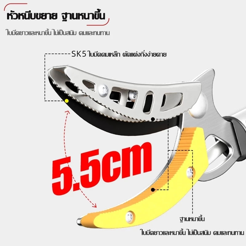 เก็บผลไม้สูง7ม.โดยไม่ต้องปีนต้นไม้✨กรรไกรตัดกิ่งไม้ด้ามยาว ตัดกิ่งไม้สูง กรรไกรตัดกิ่งไม้สูง ยืดได้7m แถมเลื่อยฟัน35ซม - รูปที่ 3