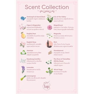 English Pear Reed Diffuser by Sopi 100ml ก้านไม้หอมปรับอากาศ Sopi กลิ่น English Pear ปริมาณ 100 มล.
