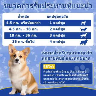 Popoo Allergy & Immune Supplement for Dogs Seasonal Allergies ผิวหนังและขน เสริมสร้างภูมิคุ้มกัน 120 แคปซูล