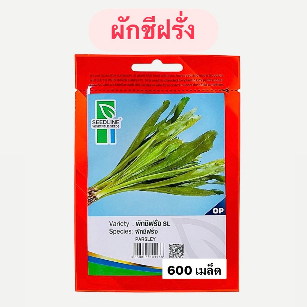 ผักชีฝรั่ง (600 เมล็ด) ซีดไลน์