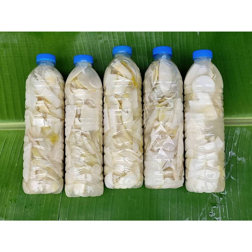หน่อไม้ดอง แบบขวด 500 g. / 1 kg. เนื้อแน่นๆ หน่อไม่หวาน หน่อไม้บ้าน อ่อนๆ(น้ำหนักรวมทั้งขวด)
