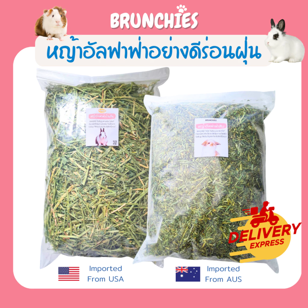 Brunchies หญ้าอัลฟาฟ่าอย่างดีร่อนฝุ่น (1kg) พรีเมียม สับ/ก้านสั้น สำหรับกระต่าย แกสบี้ ชินชิลล่า