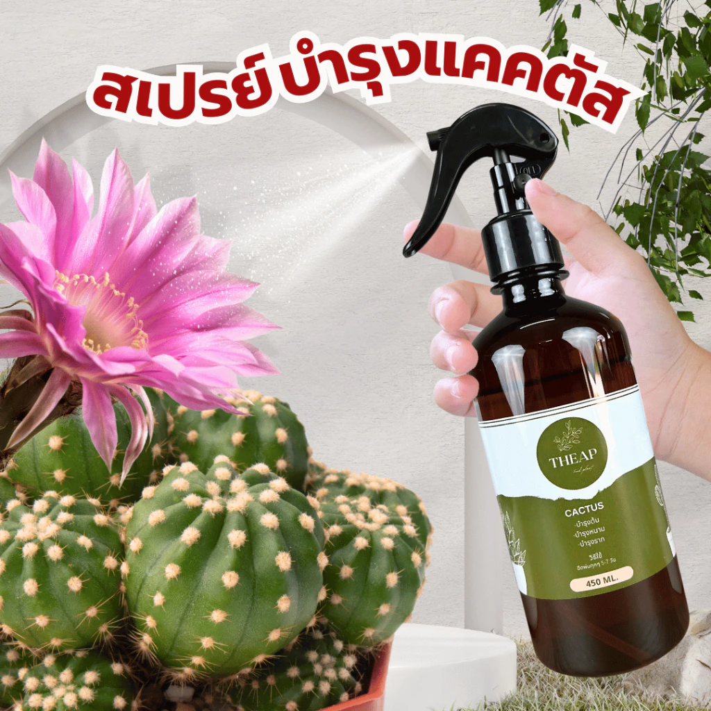 สเปรย์บำรุงพืช สูตรกระบองเพชร กล้วยไม้ และไม้อวบน้ำ​ THEAP Cactus