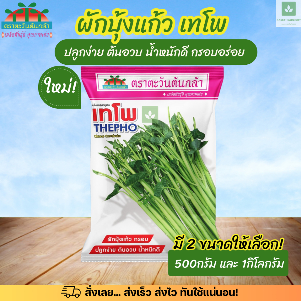 ผักบุ้งแก้ว เทโพ ตะวันต้นกล้า มี2ขนาดให้เลือก 500กรัม 1กก. เมล็ดพันธุ์ผักบุ้งแก้ว
