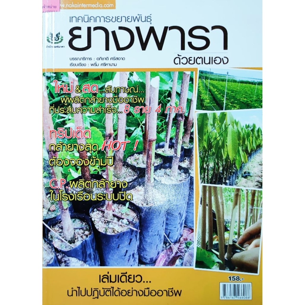 หนังสือเกษตร ยางพารา เทคนิคการขยายพันธุ์ยางพารา ด้วยตนเอง การติดตา การชำยางถุง การเพาะกล้าด้วยเมล็ด การปลูกด้วยกล้า2ใบ