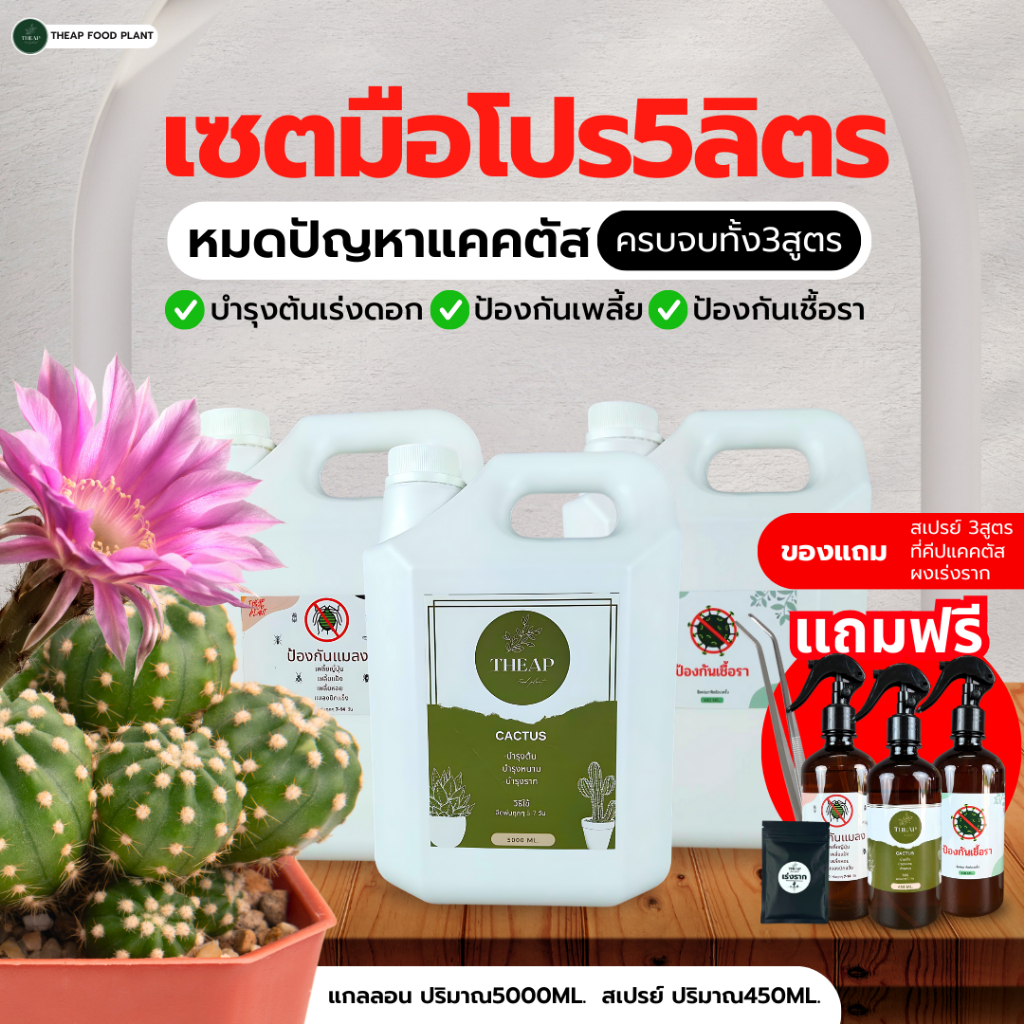 Theapโปรโมชั่นเซ็ตมือโปร แกลลอน5ลิตร (บำรุง+เพลี้ย+รา) แถมฟรี สเปรย์3สูตร+ที่คีปแคคตัส+ผงเร่งราก