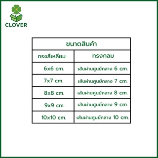 Clover (500 ชิ้น) กระดาษไขรองซาลาเปา กระดาษรองนึ่ง ทรงกลม/สี่เหลี่ยม กระดาษรองขนม กระดาษรองซาลาเปา ติ่มซำ เบเกอรี่