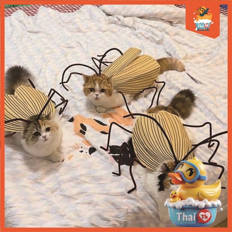 Thai.th ชุดแมลงสาบคอสเพลย์แมว ดีไซน์สร้างสรรค์ ชุดแปลงร่าง ทำด้วยมือ  Roachpet