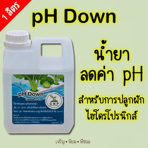 1000 ml pH DOWN น้ำยาปรับค่าน้ำ สำหรับปลูกผักไฮโดรโปนิกส์