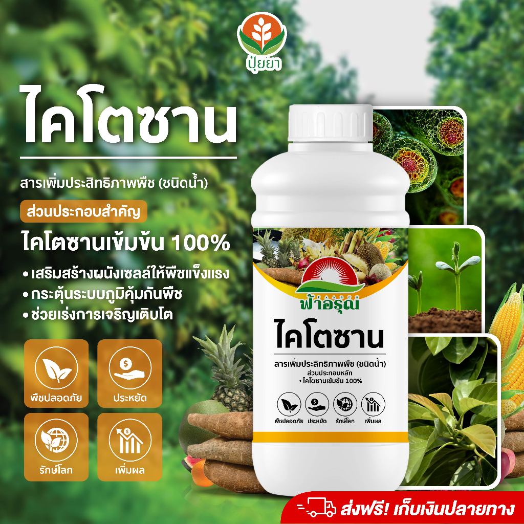 ไคโตซาน ฟ้าอรุณ 1 ลิตร | เสริมผนังเซลล์พืชแข็งแรง กระตุ้นภูมิคุ้มกัน ต้านโรค ลดแมลง เร่งโต