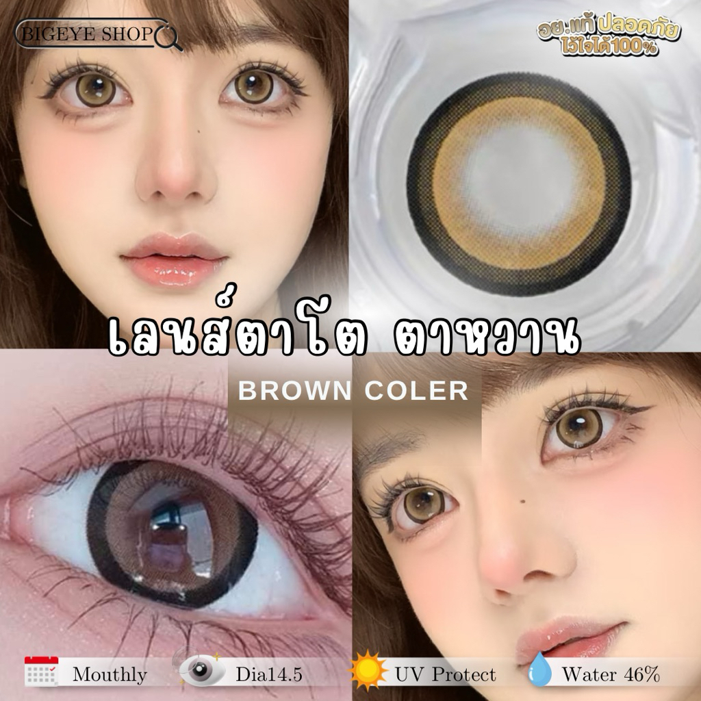 สายตาปกติ(0.00) คอนแทคเลนส์รายเดือน Sakura