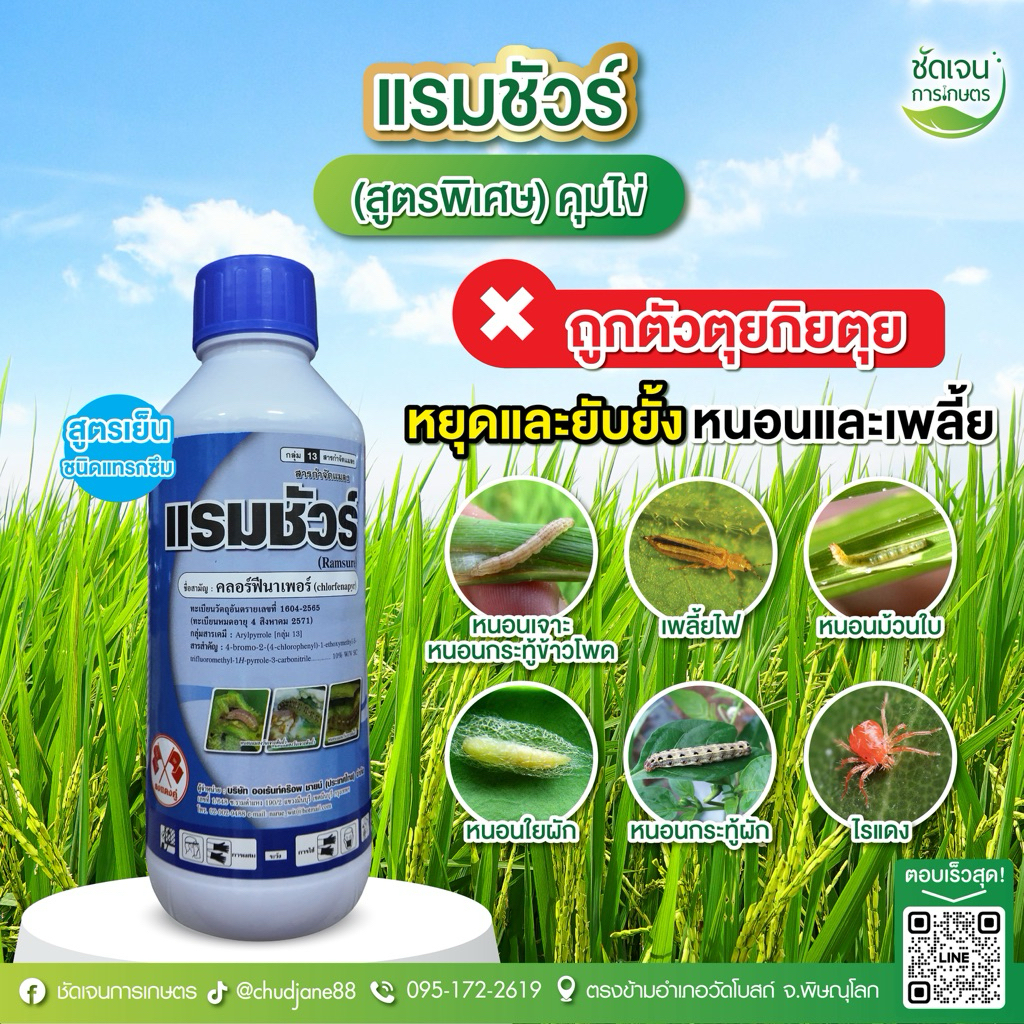 แรมชัวร์ (สูตรพรีเมียม)ขวดพลาสติก สูตรเย็นดูดซึม ขนาด 1 ลิตร ใช้ได้ 15 ไร่ หนอนและเพลี้ยครบจบในขวดเดียว ฉีดพ่นได้ทุกระยะ