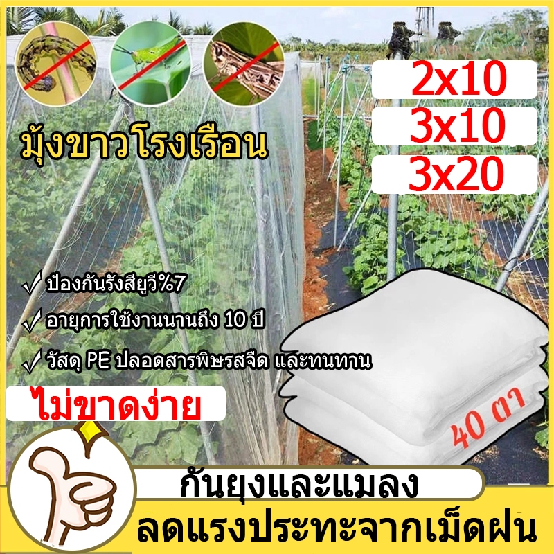 *COD* มุ้งขาวกันแมลง 32ตา มุ้งขาว มุ้งขาวโรงเรือน ตาข่ายกันแมลง โรงเรือน มุ้งโรงเรือน กันแมลง ผสมUV