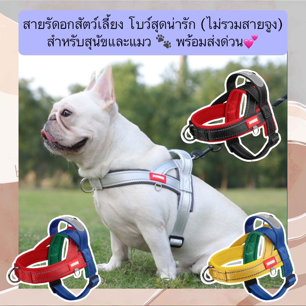 PP-714 สายรัดอกสัตว์เลี้ยง 🎀 ดีไซน์โบว์น่ารัก (ไม่รวมสายจูง) สำหรับน้องหมา-น้องแมว 💕 พร้อมส่งด่วน🛵