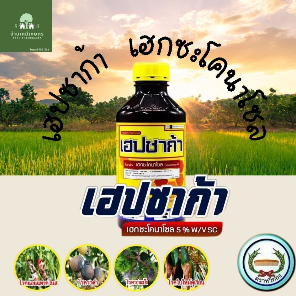เฮปซาก้า 1 ลิตร เฮกซะโคนาโซล 5%SC หวีทอง ราแป้ง ราดำ แอนแทรทคโนส เน่า ใบจุด เมล็ดด่าง สูตรเย็น