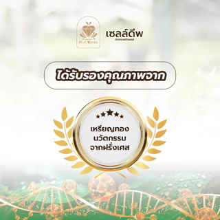 พฤกษ์มณี เซลล์ดีพ เซต3ซอง X 30CC สารซึมเซลล์ ช่วยเพิ่มการดูดซึมของพืช ใช้ร่วมกับ ปุ๋ย สารกำจัดแมลง