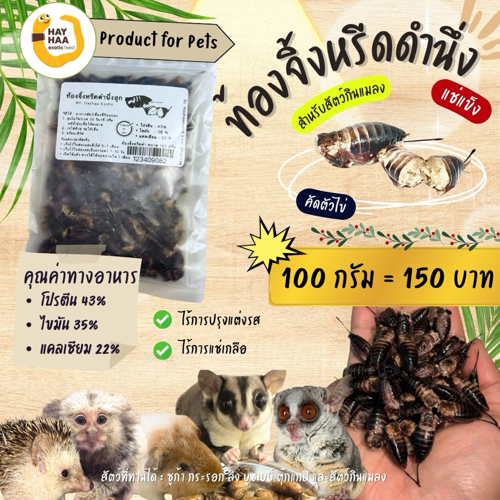 ท้องจิ้งหรีดด แกะหัว ขา ปีก สำหรับสัตว์